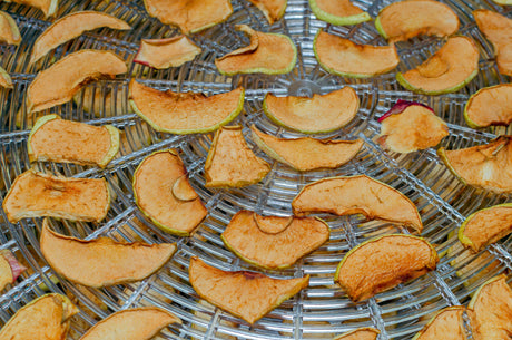 Na czym polega proces liofilizacji?