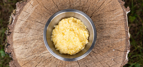 Puddingi